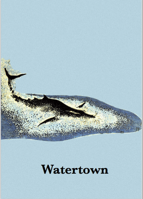 Screen Shot 2018-12-31 at 11.58.36 PM